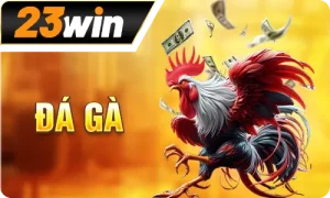 đá gà 23win